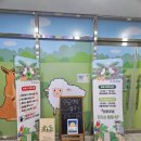 (주)수달앤쥬 | [수원 실내동물원] 아이와 함께 가기 좋은 실내동물원 수달앤쥬 내돈내산 후기