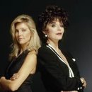 K&M DYNASTY 이미지