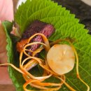 대화대박셀프 | 불광동 맛집 입안에서 살살 녹아내리는 소고기 대박고기집