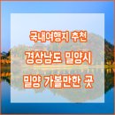 국내여행지 추천] 여름휴가지로 어때? 경상남도 밀양시 여행, 밀양 가볼만한 곳, 축제, 특산물까지 총정리!