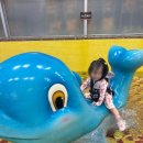 오션스파랜드 | 아이랑 홍천 여행 오션월드 겨울 로우시즌 개장 준비물 할인 야외 스파까지