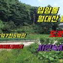 강릉입암공인중개사사무소 이미지