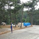 효자도 공중화장실 네이버블로그
