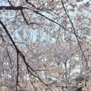 아트스튜디오노리