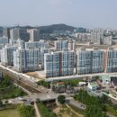 선운지구진아리채 이미지