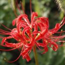 석산농장 이미지