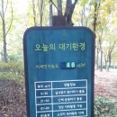 양재시민의숲 테니스장 이미지