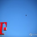 T텔레콤 - 봉화군 봉화로 1153 | T텔레콤