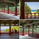 구산성지 | 여름 바다 울진 구산해수욕장 반려견 동반 펫비치 캠핑장 월송정 숲체험