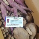 예서농장 네이버블로그