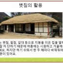 과학숲 이미지