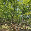 가섭암지화장실 이미지