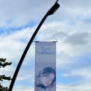 2025 제이 썸머콘서트 | 아이유 바이썸머 2025 콘서트 팬미팅 팬밋업 첫공 후기 KSPO DOME 체조 1층 1열 시야, MD, 역조공선물...