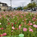 지구화원 이미지