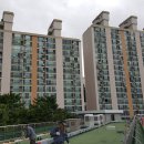 부산서중학교 이미지