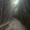 유람선민박 이미지