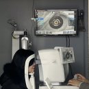 안경매니져수송점 이미지