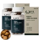 꽁이몰 네이버블로그