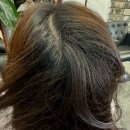 메종드헤어 | [서울/목동]목동 뿌리염색 정착지 메종드헤어 0403 후기