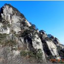 에덴동산 이미지