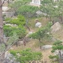 반도유보라 10차 입구 이미지