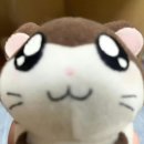 당구 하라 | 안농.