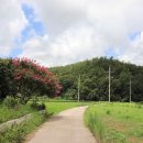 서호보건지소 이미지