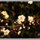 김해세무서 이미지