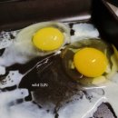 난각번호 1번 달걀 계란 에그리원 에덴농장~ 친환경 동물복지 건강한 유정란 계란으로 맛있게~