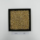 한국농업기술진흥원 이미지