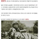 짐 이미지