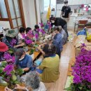 안동의료원 이미지