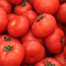 하늘농원1호 이미지