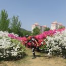 스타노래클럽 - 평택시 고덕중앙2로 77-6 | 스타노래클럽