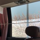버터러버