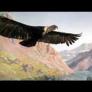 El Condor Pasa - Paul Simon & Garfunkel 이미지