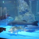 섬진강어류생태관 이미지