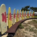 남애서핑클럽 이미지