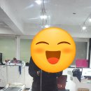 피노키오 복싱 이미지