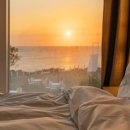 해일리 풀앤스파 이미지