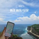 글로벌누리학원 | 인도네시아 발리여행 준비물 유심 이심 할인구매방법 사용후기