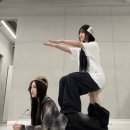 이노시크릿 | 종강이 종킨 종쿠나