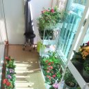 카페꽃길 - 서구 원당대로840번길 5 | 카페꽃길
