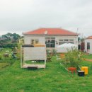 금화민박 이미지