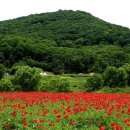 행복한 미래 이미지