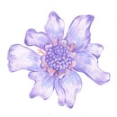 선화농장 이미지