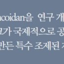 갈조류에 존재하는 후코이단은 인간 결장암 세포의 세포 사멸을 유도합니다. 이미지