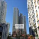 해빛5로 이미지