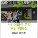 스카이라인루지부산 | 부산롯데월드루지 할인예약꿀팁 코스별체험후기 스카이라인루지부산