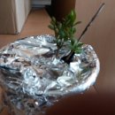 손앤이한의원 이미지